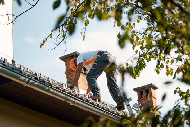 Best Roof Gutter Cleaning  in Charlestown, IN