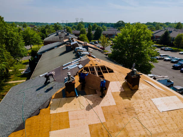Best Flat Roof Repair Services  in Charlestown, IN